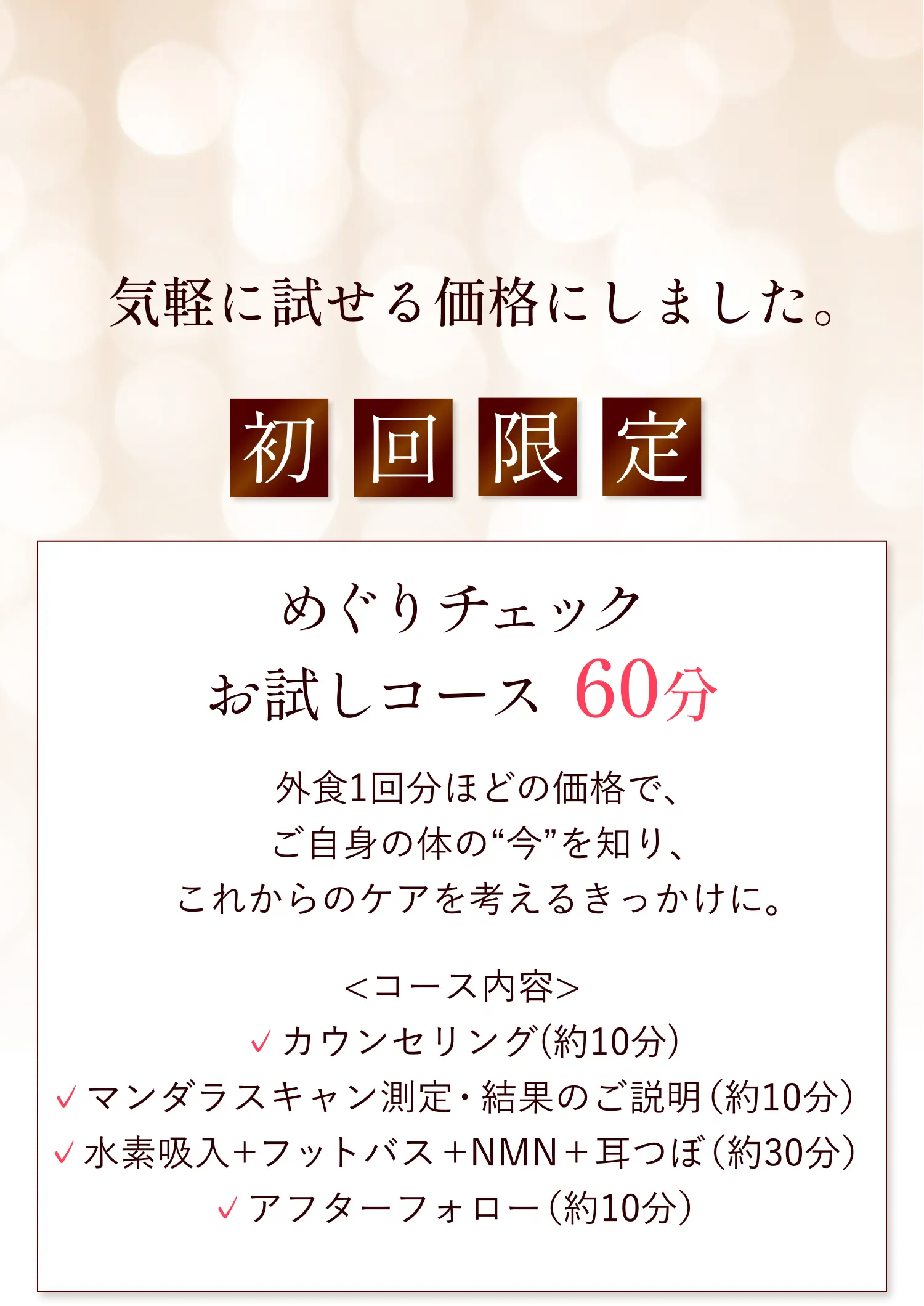 初回限定 めぐりチェックお試しコース60分